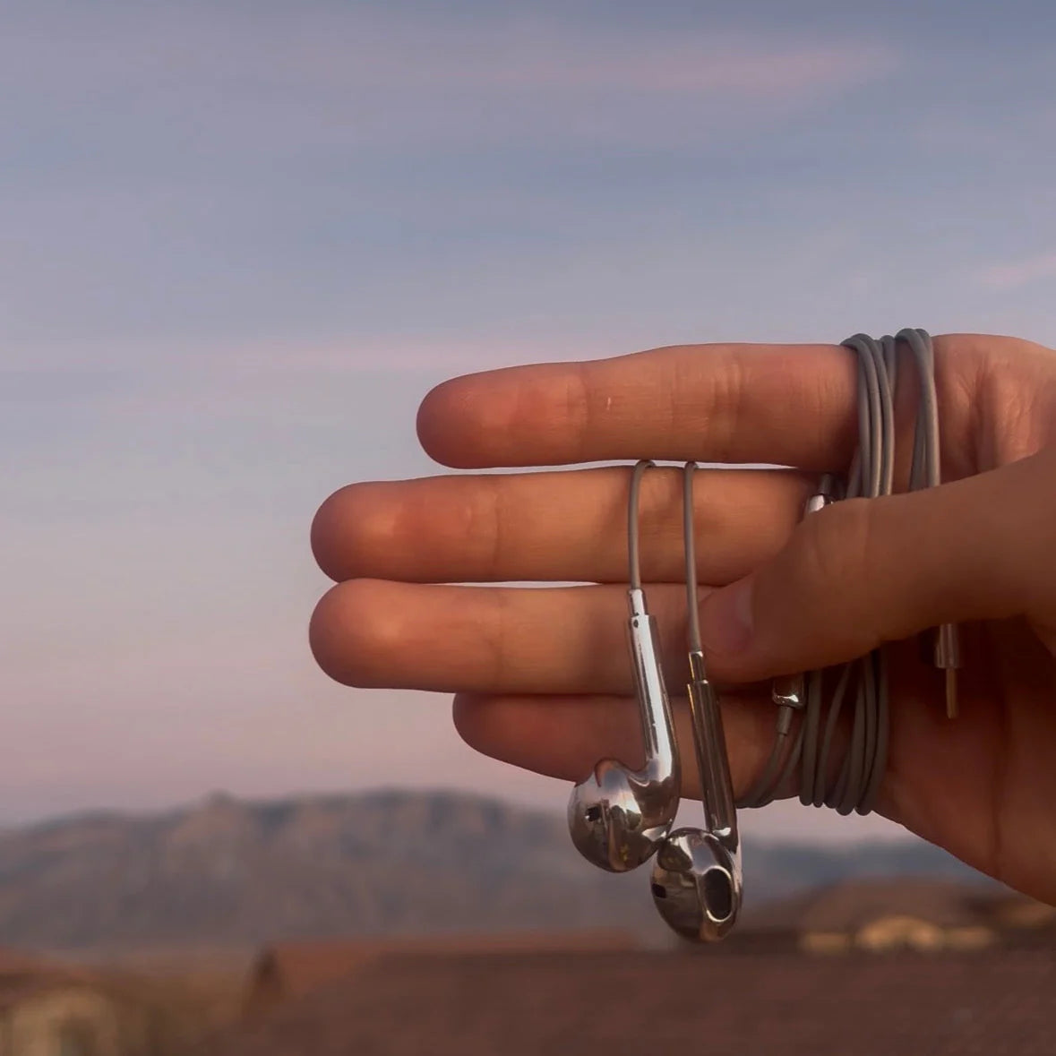 Chrome Wired Earbuds